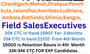 Walkin Interviews For Justdial Telesales And Field Sales Executives At Mohali
